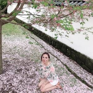 Meet your Posher, Hong